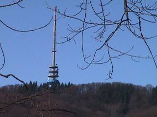Blick bei blauem Himmel zum Totenkopf, dem Gipfel des Kaiserstuhls