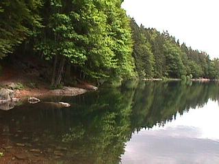 Der Feldsee am Mittag des 08.06.2002, Tag der Artenvielfalt am Feldberg