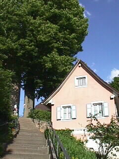 Alte Linde vor der Kirche und Treppe zum Kirchhof von Heuweiler | 31.05.2001