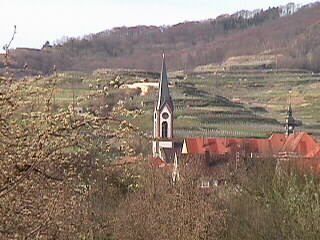 Erster Blick auf die Ihringer Kirche