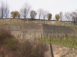 Wir nähern uns dem Kaiserstuhl und werfen schon einen Blick auf das Weingut von Ihringen an den Hängen der Rebmauern