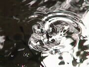 09.09.2000: Diesen Wasserwirbel hat ein Wasserlufer verursacht. Wenn du genau hinschaust, siehst du die kleinen Schatten seiner Fe :-)