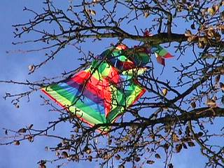 Manchmal kann niemand mehr den Drachen vom Baum holen, und das sieht dann so aus wie hier | 26.10.2002