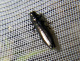 buprestidae/20070525_1548.htm