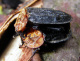 silphidae/oeceoptoma_thoracium_paarung.htm