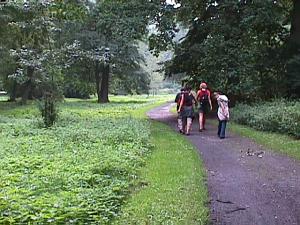 Spaziergang im Wald des Parkgeländes | 11.08.2002