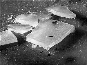 Die Eisschollen sind abgebrochene Eisstücke von einer großen Platte, die geborsten ist
