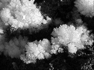 Die Schneeflocken sind kristallisiert zu Eisblumen