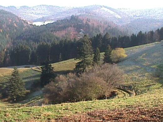Blick vom Schauinsland auf den Schwarzwald