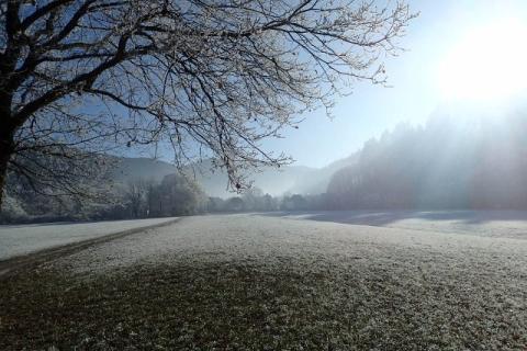 Foto des Tages vom 01.01.2017: Winterliches Günterstal