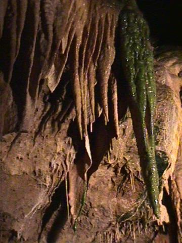 Foto des Tages vom 08.11.1998: Tropfsteinhöhle in der Fränkischen Schweiz