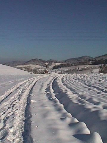 Foto des Tages vom 12.01.1999: Die Weite der Schneelandschaft im Wildtal