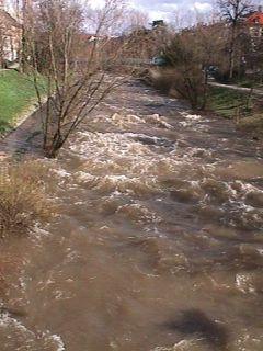 Foto des Tages vom 13.03.2001: Hochwasser an der Dreisam in Freiburg