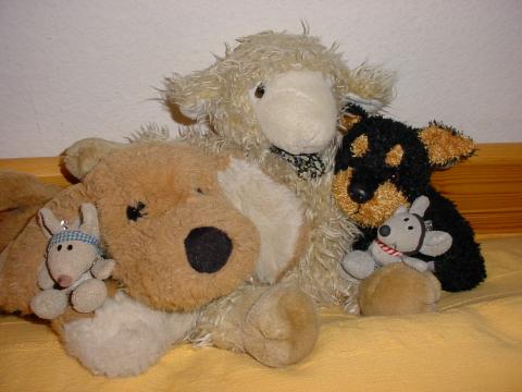 Foto des Tages vom 13.11.2003: Meine Haustiere in ihrer Kuschelecke