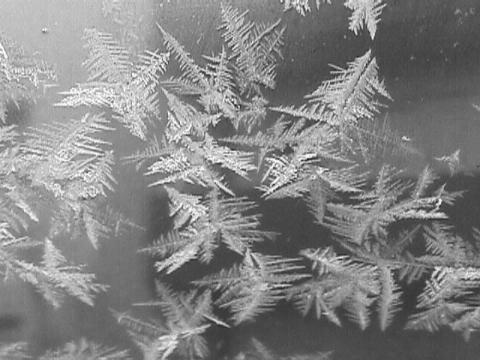 Foto des Tages vom 14.01.2001: Eiskristalle auf einer Eisfläche