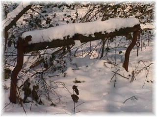 Foto des Tages vom 15.02.1999: Verschneiter Reutewald