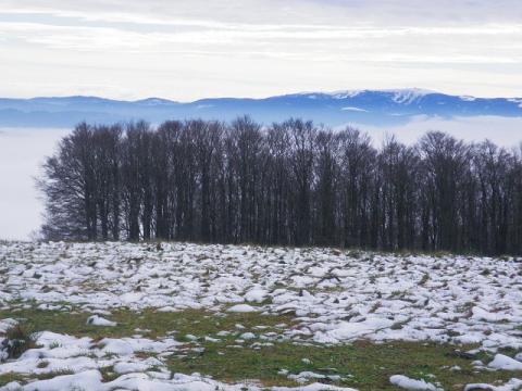 Foto des Tages vom 21.11.2010: Blick vom Kandelgipfel in die schneereiche Winterlandschaft