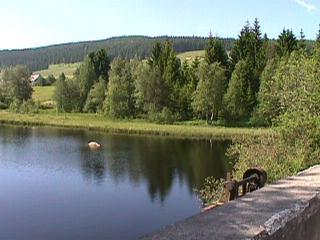 Foto des Tages vom 23.06.2001: Der Schluchsee im Juni