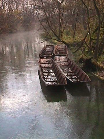 Foto des Tages vom 25.11.2000: Boote in Taubergießen