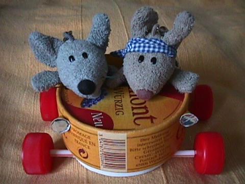 Foto des Tages vom 27.08.2002: Zwei Mäuse im G&eacute;ramobil