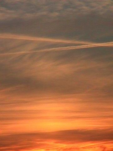 Foto des Tages vom 28.09.2001: Sonnenuntergang am Waldrand von Gundelfingen