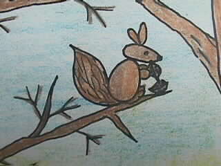 Eichhrnchen knnen von einem Baum zum anderen springen.